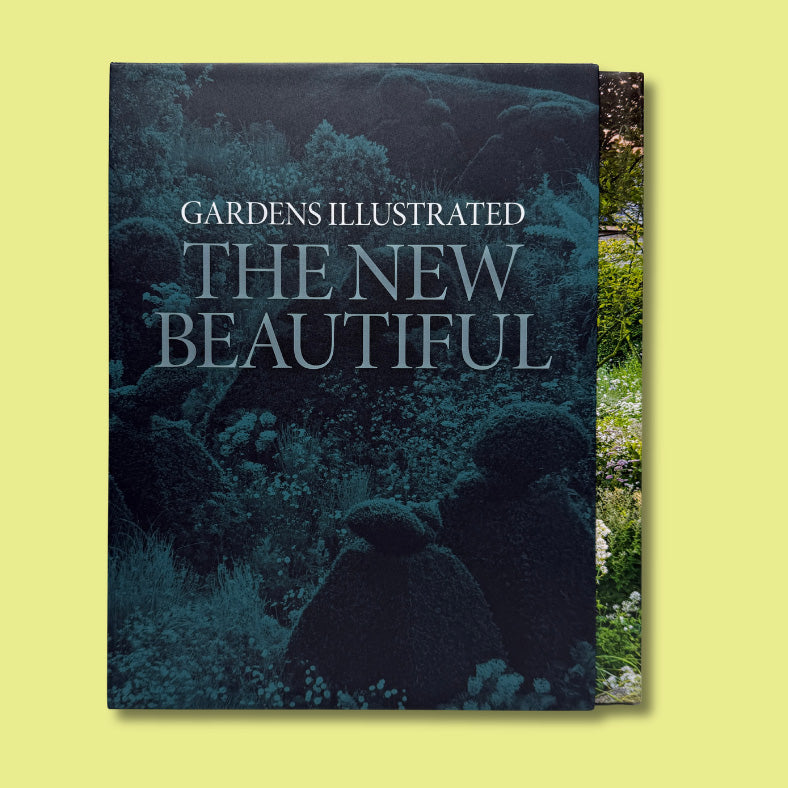The New Beautiful